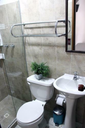 Hostal Pasadena Hostel