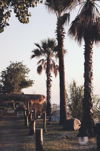 Hotel Riva Del Sol Beach Resort