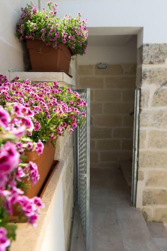 Bed & Breakfast Lu Caffa By Typney P45-47