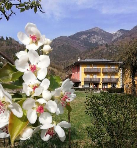Hotel Albergo Silvana