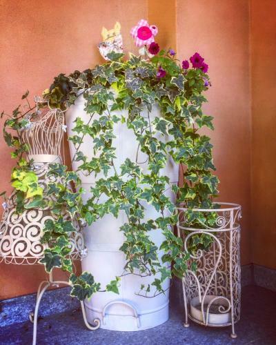 Bed & Breakfast I Grappoli Divini