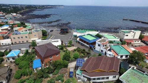 Hostal Ophir House