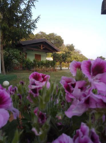 Agroturismo Agriturismo Valle Alcantara