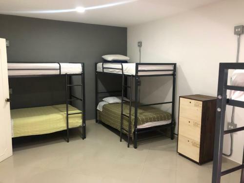 Hostal Black Sheep Medellin