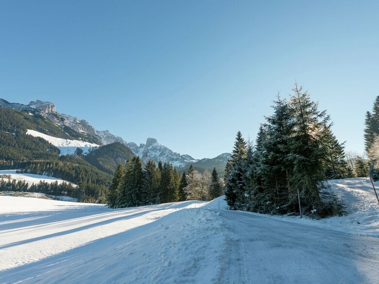 Gorgeous Chalet In Annaberg-lung�tz With Swimming Pool