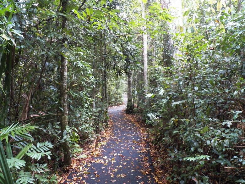 Lake Eacham Tourist Park & Self Contained Cabins