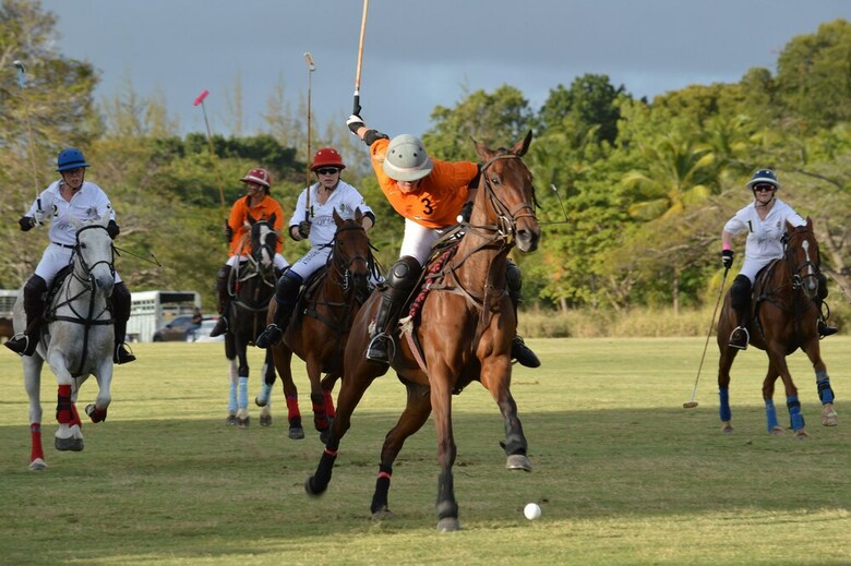 Villa Apes Hill Golf And Polo Club