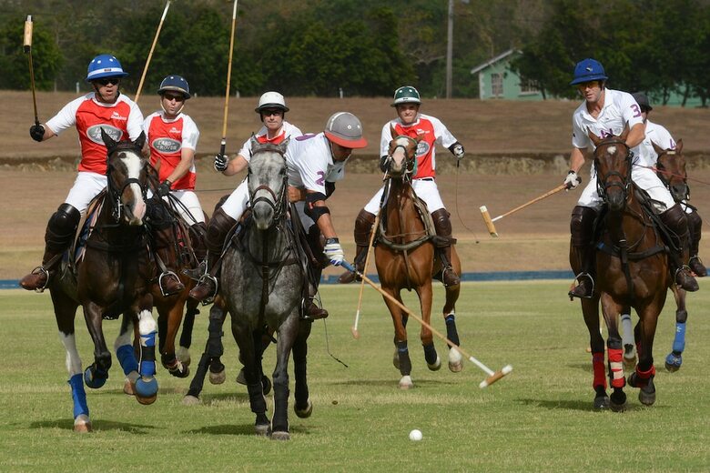 Villa Apes Hill Golf And Polo Club