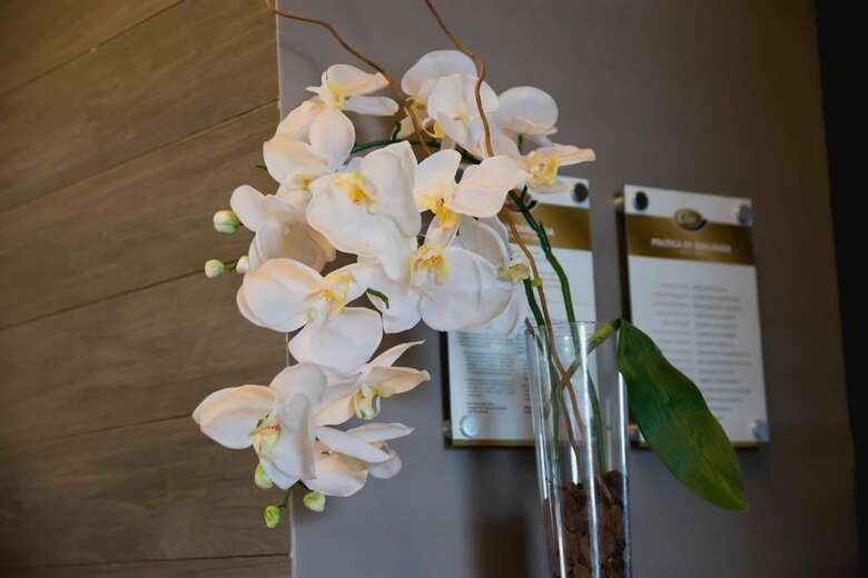 Class Hotel Varginha