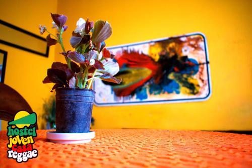 Hostal Young Reggae Hostel