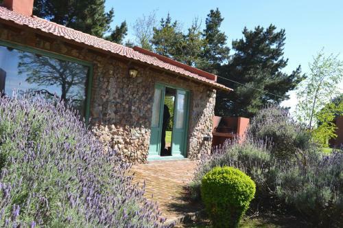 Lodge Refugio Del Angel