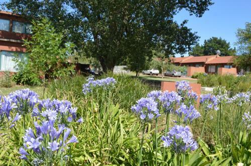 Lodge Refugio Del Angel