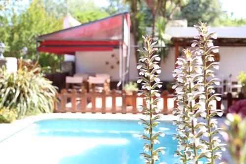 Posada Hosteria Plaza