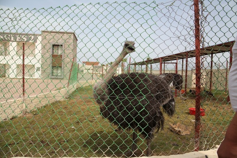 Eagles Family Resort
