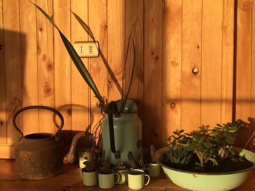 Hostal Chilo� Austral Hostel