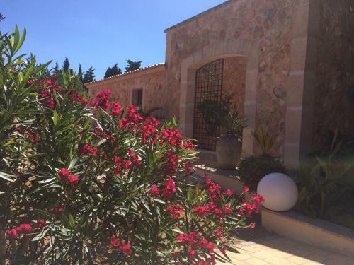 Hotel Villa Sampoli