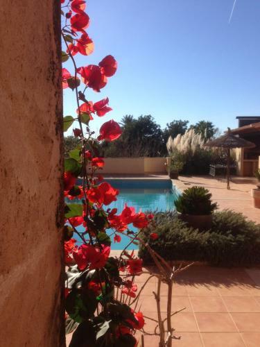 Hotel Villa Sampoli