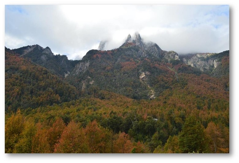 Lodge Tierra Escondida Caba�as Pucon