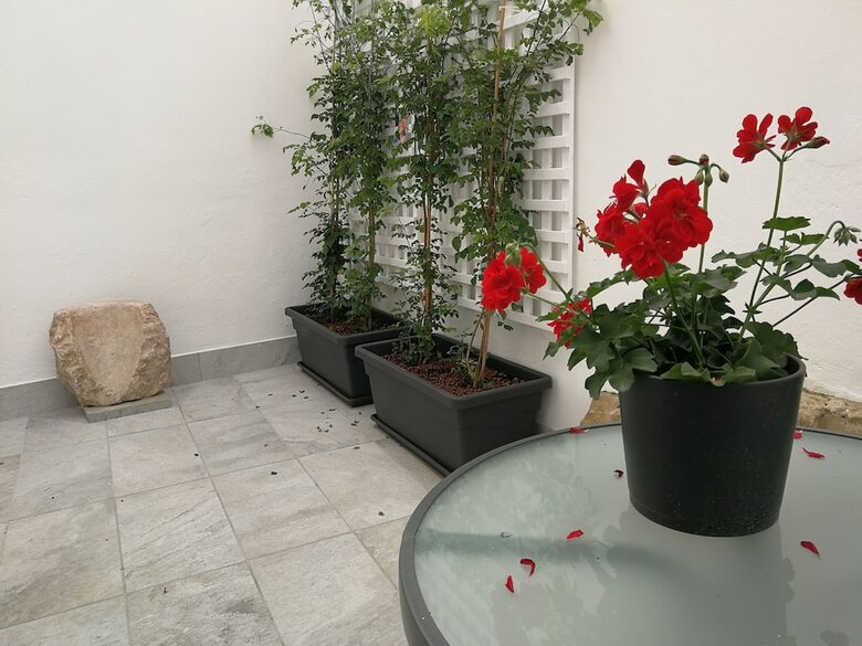 Apartamentos Patio de La Escalera, Santiago