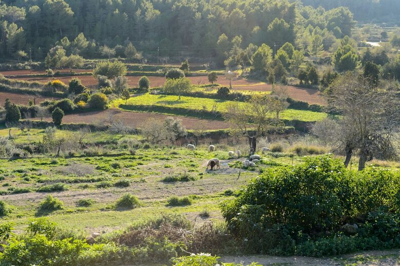 Villa Can Truy