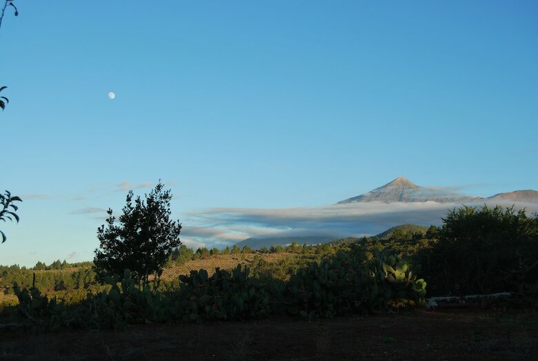 Apartamentos Homelike Volcano Views Eco-house