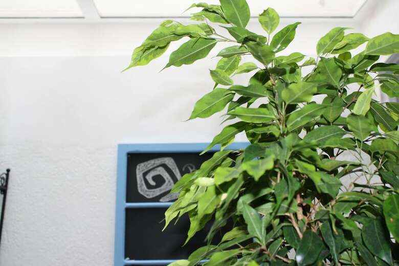 Acer� Home