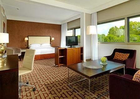 Hotel Sheraton Roma