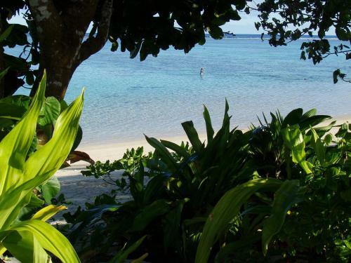 Hotel Palm Grove