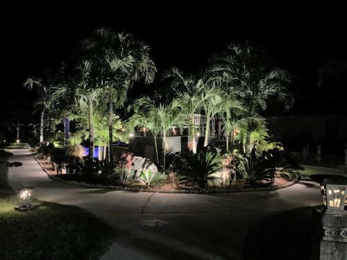 Hotel Magic Reef Bungalows