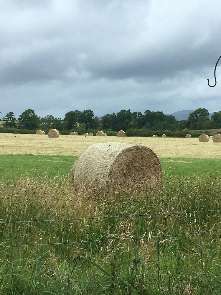 Ardoch Cottage Bed & Breakfast