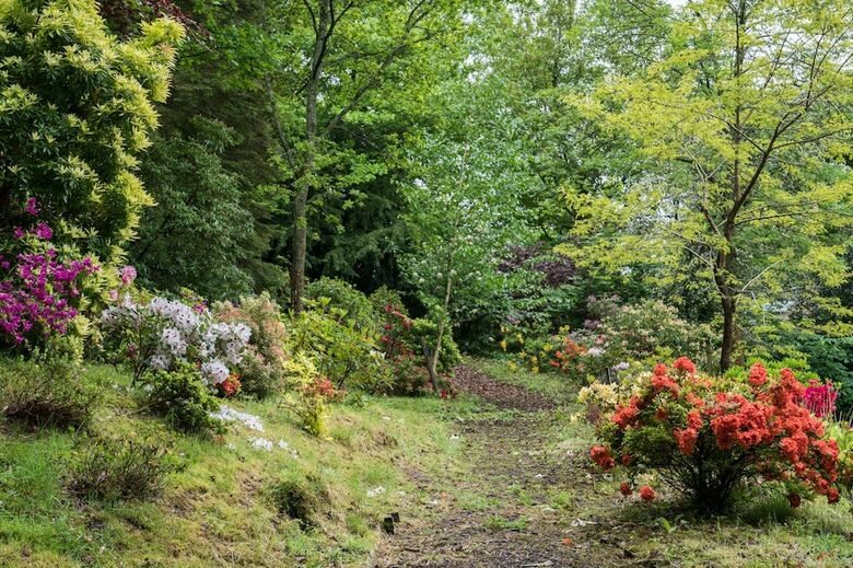 Bed & Breakfast West Plean House