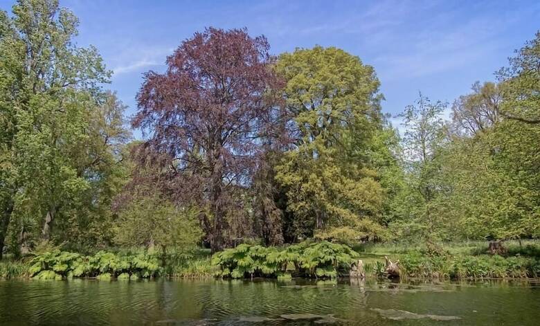 Heart Of Hampstead Retreat