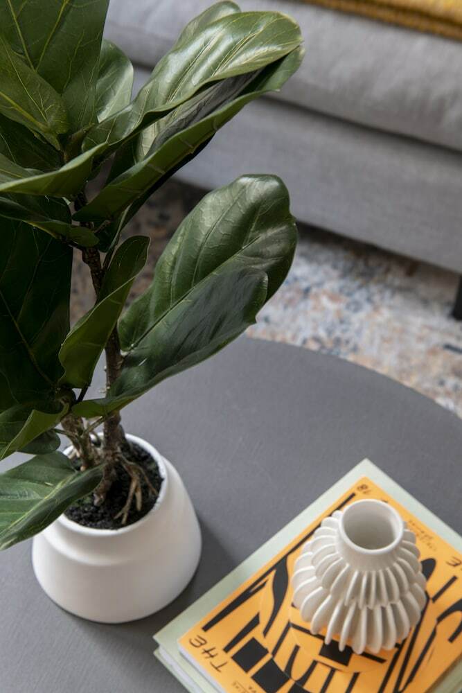 Apartamentos Cove Arne Street