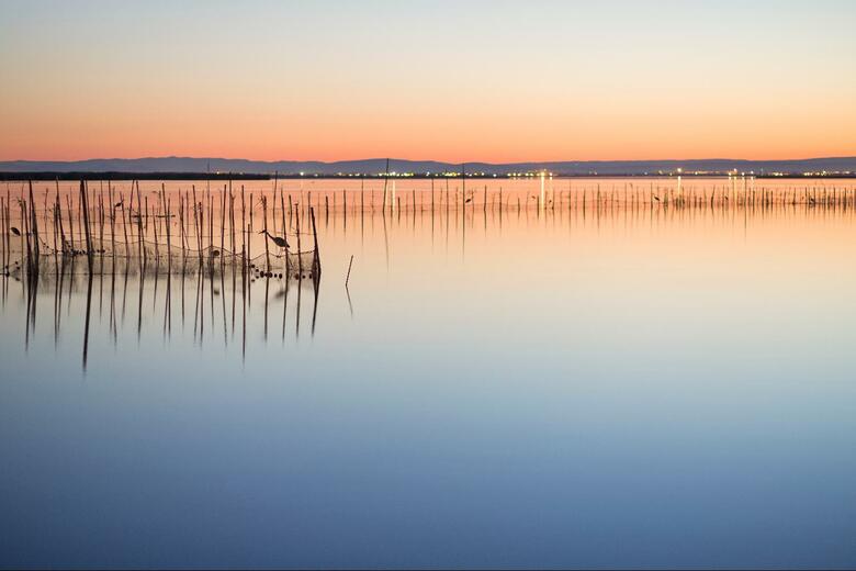 Hotel Albufera