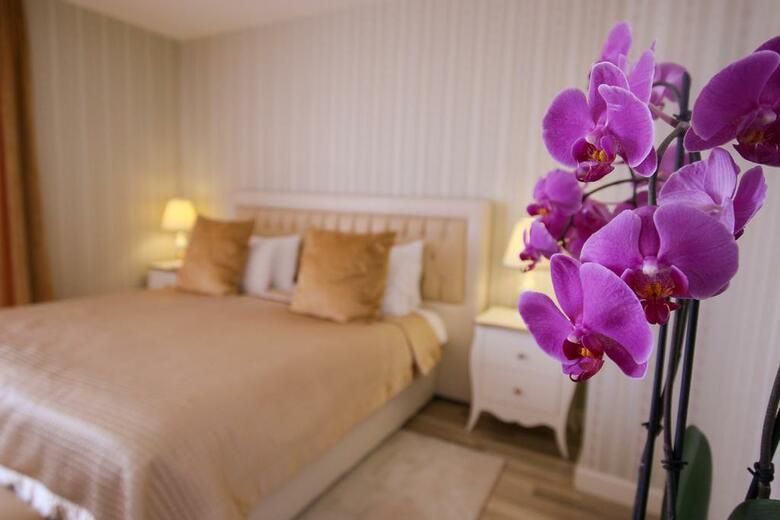 Hotel Palace And Spa
