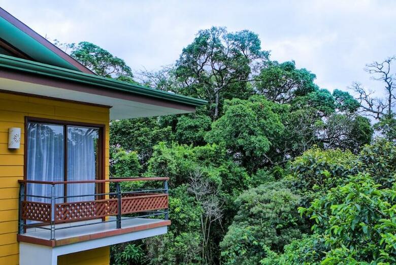 Hotel Ficus Sunset Suites