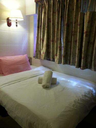 Hostal Maple Leaf Guest House