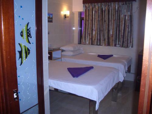 Hostal Maple Leaf Guest House