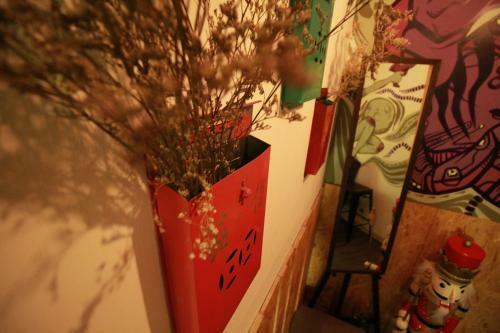 Hostal Urban Pack