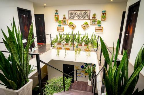 One Stop Hostel Siem Reap