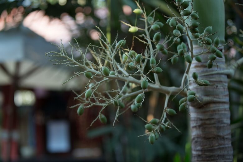 Hotel Sonalong Boutique Village & Resort