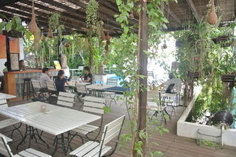 Alliance Boutique Villa
