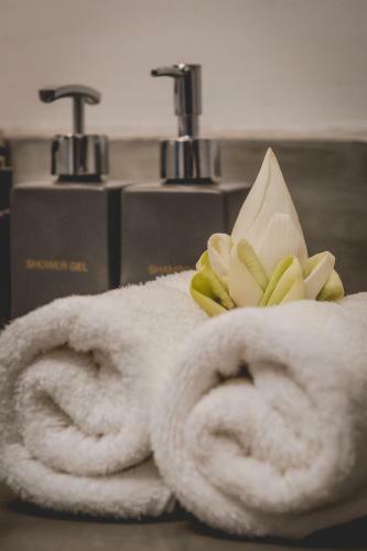 Mulberry Boutique Hotel