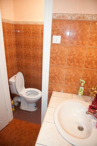 Cherry Hostel