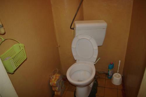 Cats' House Hostel
