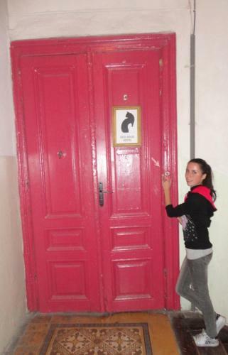 Cats' House Hostel