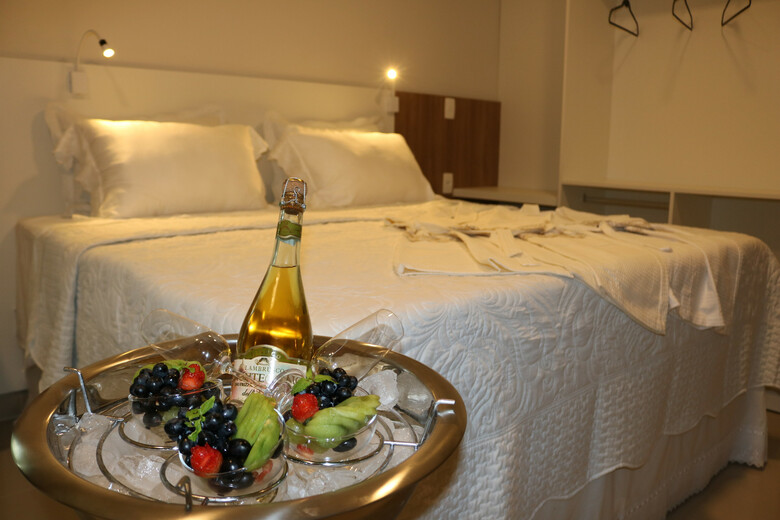 Hotel Bristol Aline