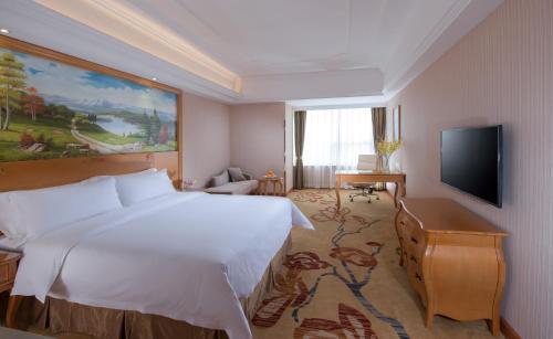 Vienna Hotel Shenzhen Yousong Branch