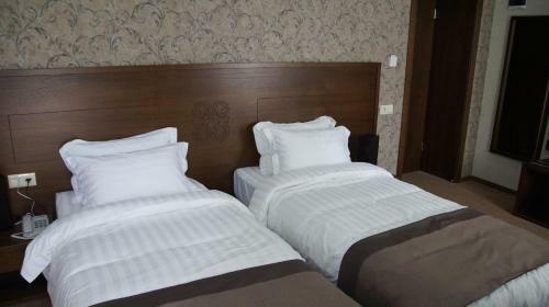 Hotel Metekhi Side