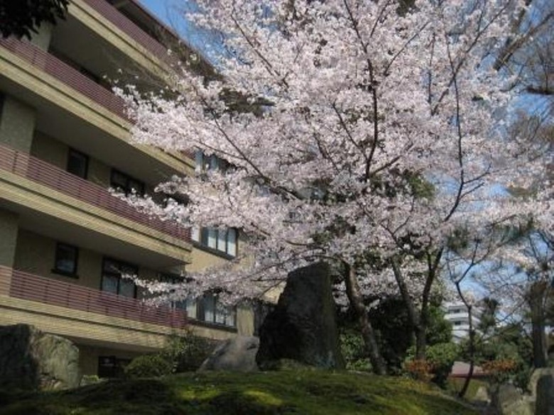 Kkr Kyoto Kuniso